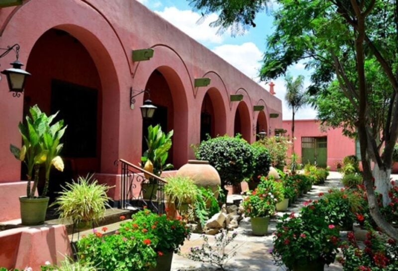 From Ica: Tour to Wine and Pisco Vineyards | Free Tasting | - Inclusions and Exclusions