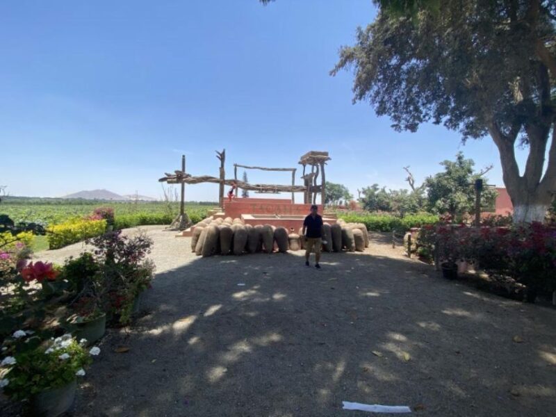 From Ica: Tour to Wine and Pisco Vineyards | Free Tasting | - Customer Feedback