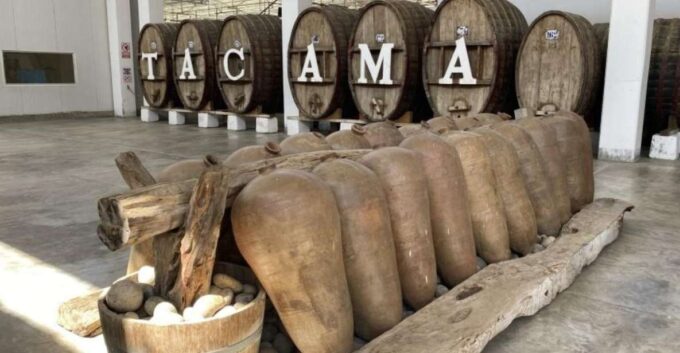 From Ica: Tour to Wine and Pisco Vineyards | Free Tasting | - Transportation and Pickup