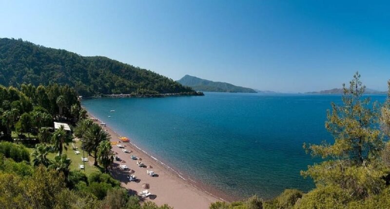 From Icmeler: Turkish Aegean Coast Boat Trip With Lunch - Food and Drink