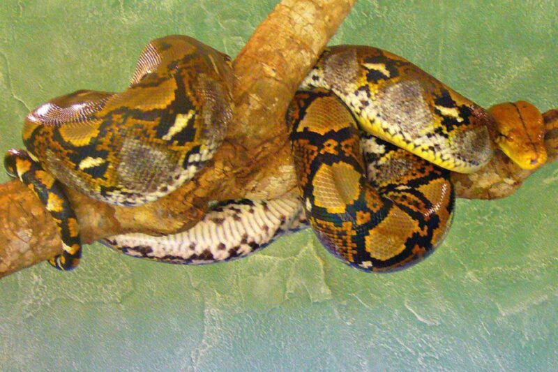 From Iguazú: Excursion to the Iguazú Biocenter - Customer Reviews and Ratings