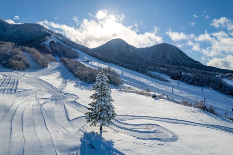 From Iiyama/Nagano: Kijimadaira Snow Park Tour With Lunch - Key Points