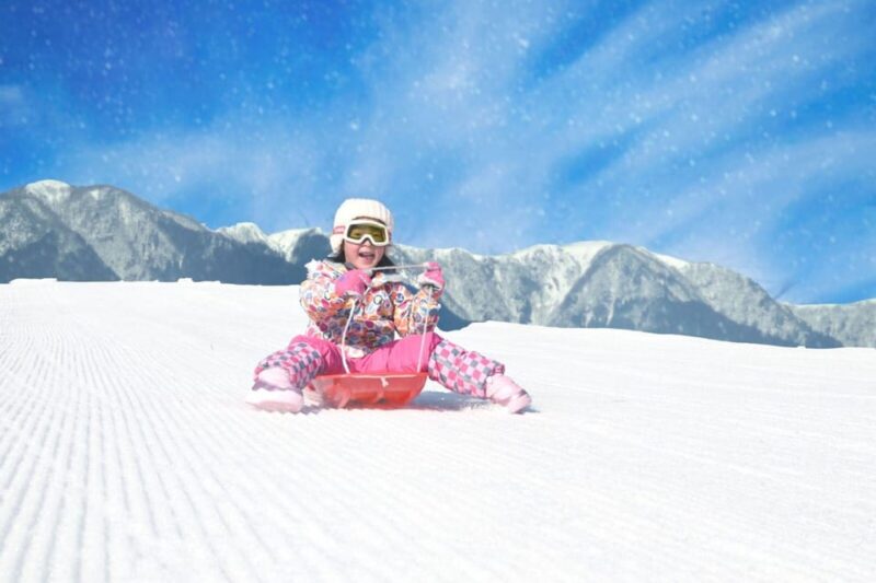 From Iiyama/Nagano: Kijimadaira Snow Park Tour With Lunch - Activities and Experiences