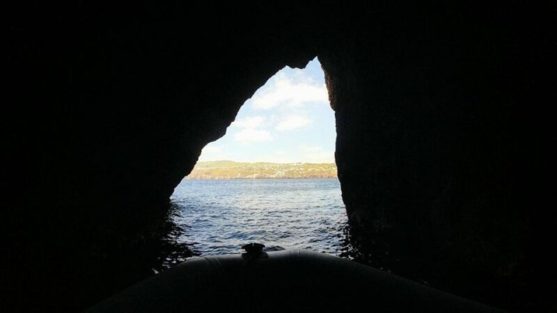From Ilha Terceira: Ilhú Das Cabras Snorkeling Boat Tour - Experience and Highlights