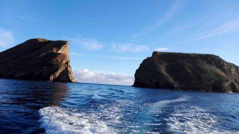 From Ilha Terceira: Ilhú Das Cabras Snorkeling Boat Tour - Inclusions and Equipment