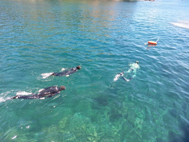 From Ilha Terceira: Ilhú Das Cabras Snorkeling Boat Tour - Customer Reviews and Feedback