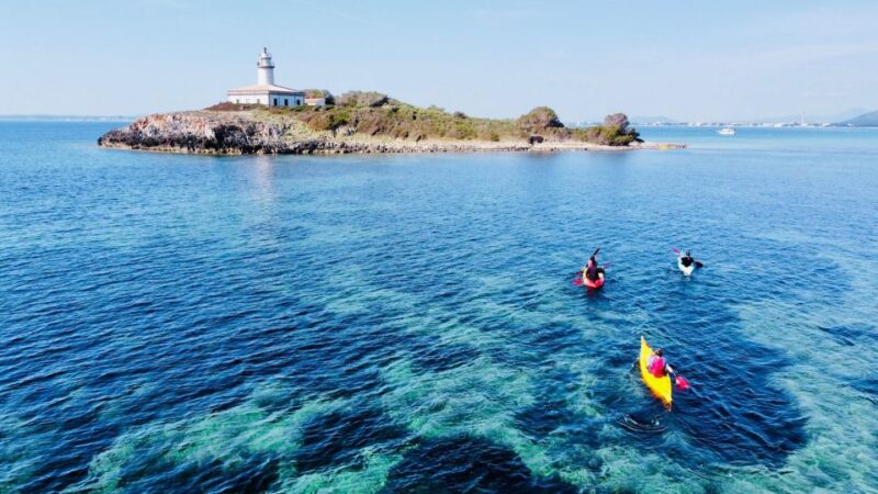 From Inmood Hotel Alcanada. Kayaking Guided Route Island - Included Equipment and Supplies