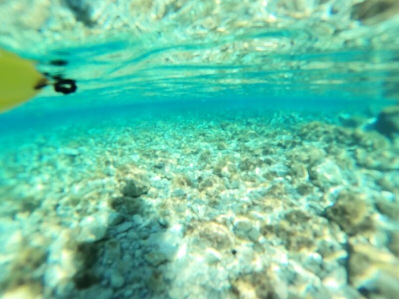 From Inmood Hotel Alcanada. Kayaking Guided Route Island - Meeting Point and Departure
