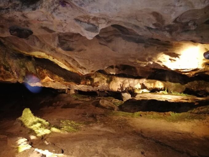 From Interlaken: Beatus Caves, Blue Lake and Lake Thun Tour - Tour Inclusions