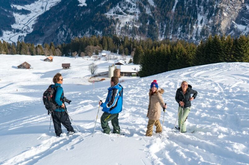 From Interlaken: Guided Snowshoe Tour Around Isenfluh - Customer Ratings and Feedback
