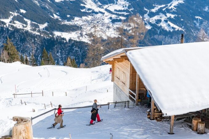 From Interlaken: Guided Snowshoe Tour Around Isenfluh - Snowshoe Walking Facilitation