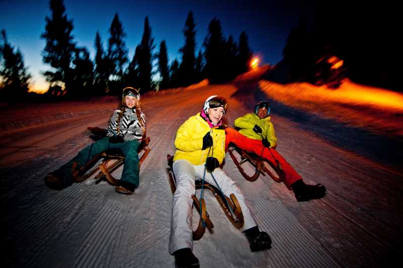 From Interlaken: Night Sledding With Cheese Fondue Dinner - Experience Highlights
