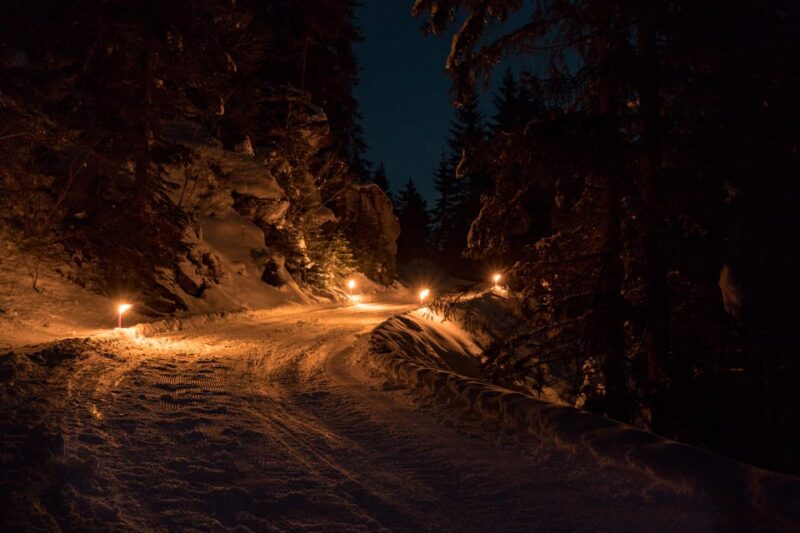 From Interlaken: Night Sledding With Cheese Fondue Dinner - Preparation and Safety