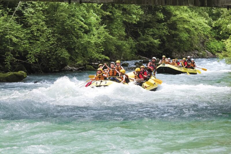 From Interlaken: River Rafting Adventure on Simme River - Professional Guided Experience