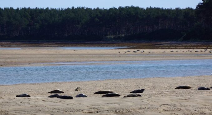 From Invergordon: Private Northern Highlands Shore Excursion - Frequently Asked Questions