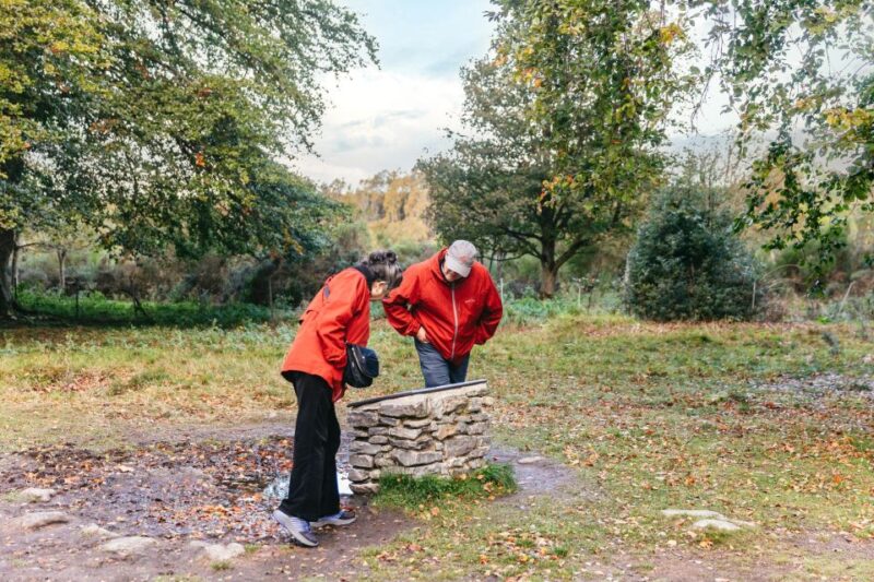 From Inverness: Glen Affric, Culloden, and Clava Cairns Tour - Clava Cairns