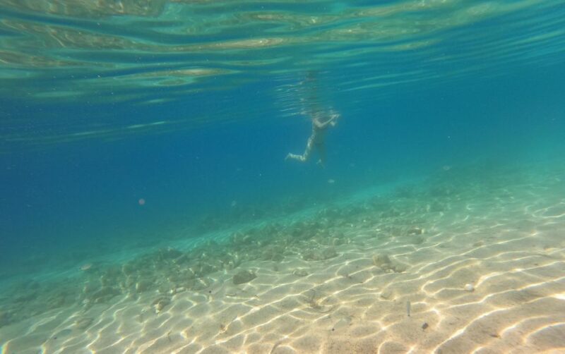 From Ioannina Guided All Day Tour to Coastline (Syvota Area) - Boat Cruises and Activities