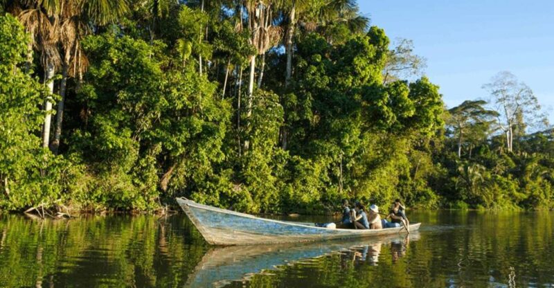 From Iquitos: 2 Days/1 Night in Amazonian Lodge With Meals - Key Points