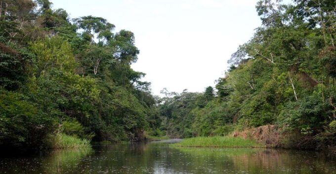 From Iquitos || 3-Day Adventure on the Yanayacu River | - Transportation and Lodging