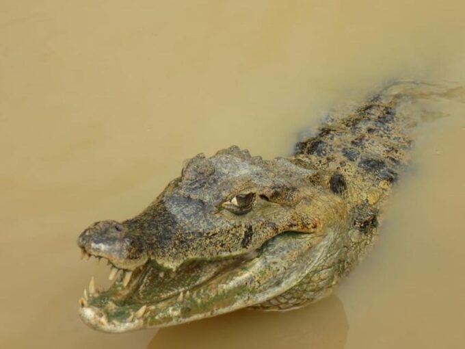From Iquitos || 3-Day Adventure on the Yanayacu River | - Frequently Asked Questions