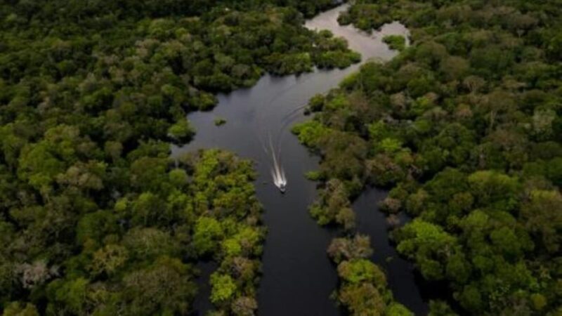 From Iquitos: 3-Day Amazon Jungle Adventure Trip - What to Bring