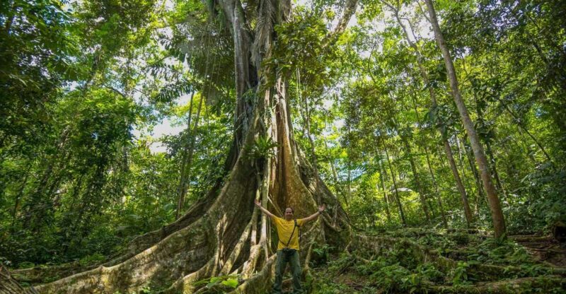 From Iquitos: 3-day Pacaya Samiria National Reserve Tour - Key Points