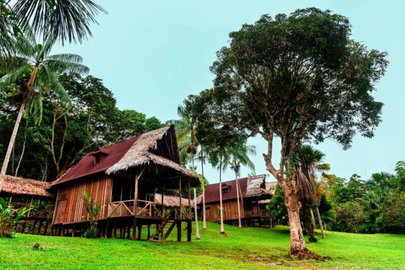 From Iquitos: 3-day Pacaya Samiria National Reserve Tour - Itinerary Highlights
