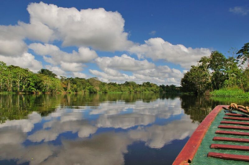 From Iquitos: 3-day Pacaya Samiria National Reserve Tour - Wildlife and Environment
