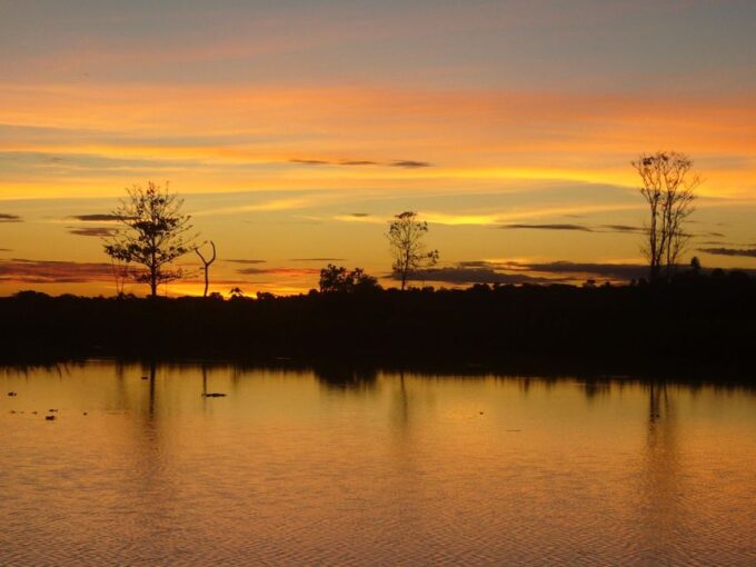 From Iquitos: 3-day Pacaya Samiria National Reserve Tour - Dietary Restrictions