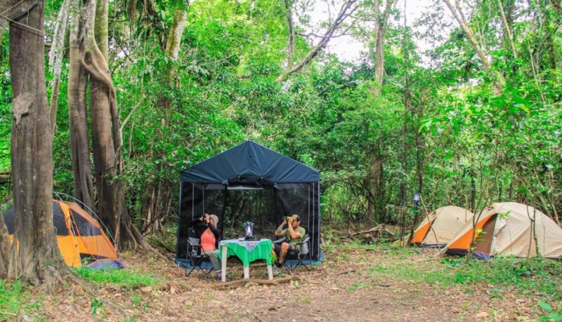 From Iquitos ||3-Day Tour Pacaya Samiria National Reserve || - Cancellation and Booking