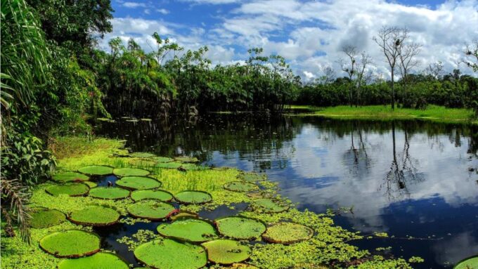 From Iquitos: 3 Days/2 Nights in Amazonian Lodge With Meals - Booking and Payment
