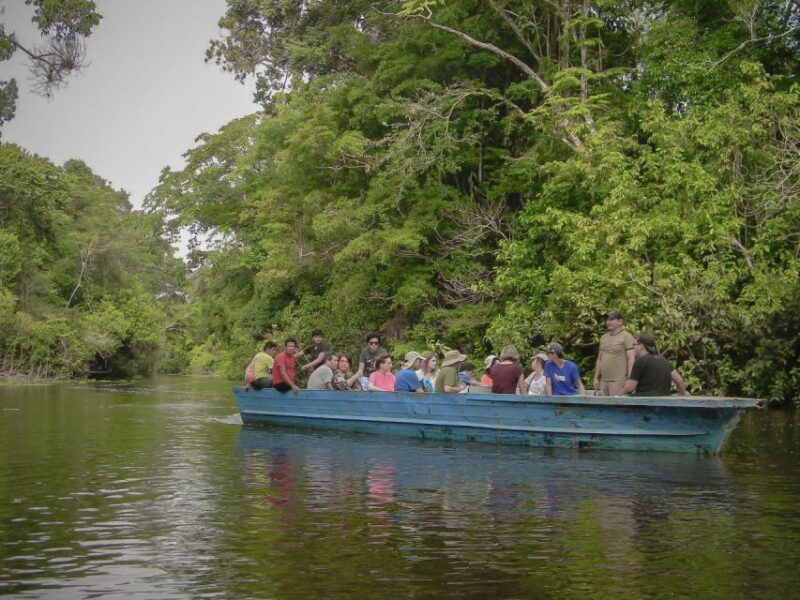 From Iquitos: 4-Day Guided Amazon Wildlife Exploration Tour - Key Points