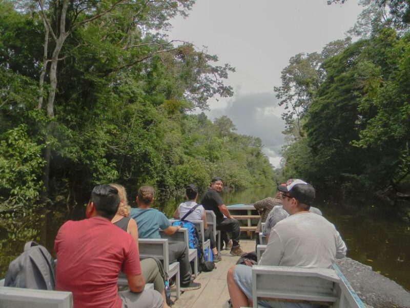 From Iquitos: 4-Day Guided Amazon Wildlife Exploration Tour - Experience and Activities