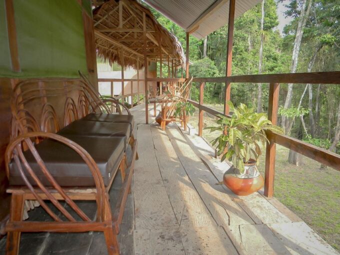 From Iquitos: 4-Day Guided Amazon Wildlife Exploration Tour - Explore the Amazon Rainforest