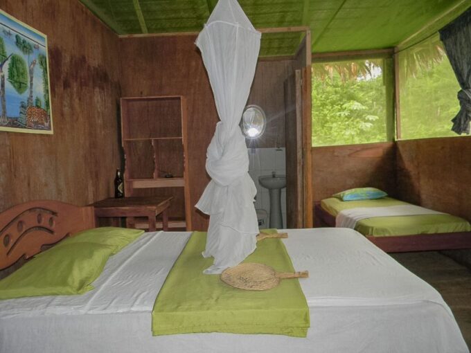 From Iquitos: 4-Day Guided Amazon Wildlife Exploration Tour - Discover Indigenous Culture