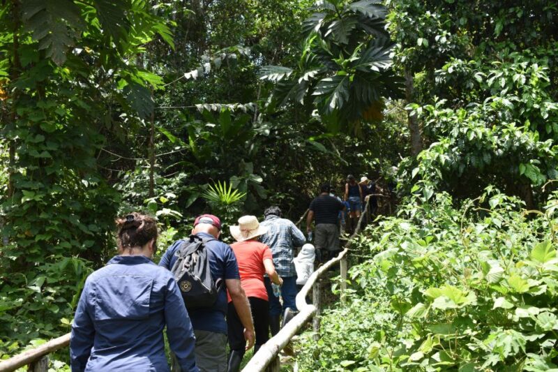 From Iquitos: 4-day Pacaya Samiria National Reserve Tour - Exclusions