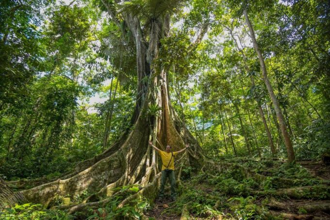 From Iquitos: 4-day Pacaya Samiria National Reserve Tour - Frequently Asked Questions