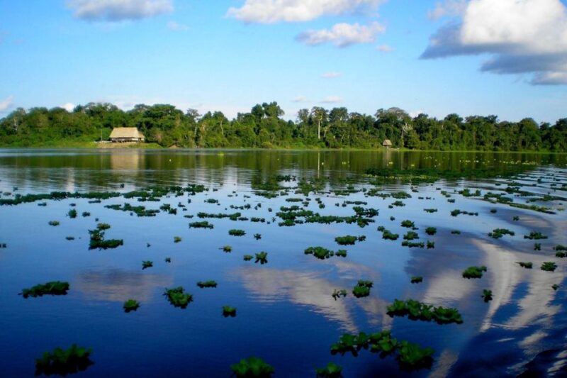 From Iquitos || 4 Day Yanayacu River Tour With Bird Watching - Additional Notes