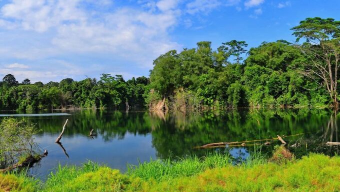 From Iquitos: 4 Days/3 Nights in Amazonian Lodge With Meals - Frequently Asked Questions