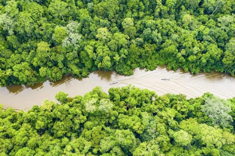 From Iquitos : 6 Day Amazon Jungle Tour - Important Information