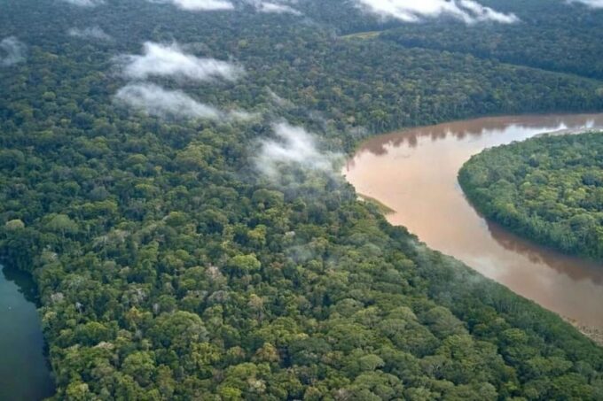 From Iquitos : 6 Day Amazon Jungle Tour - Lodging and Meals