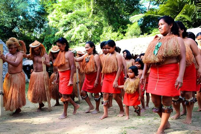 From Iquitos : 6 Day Amazon Jungle Tour - Activities and Experiences