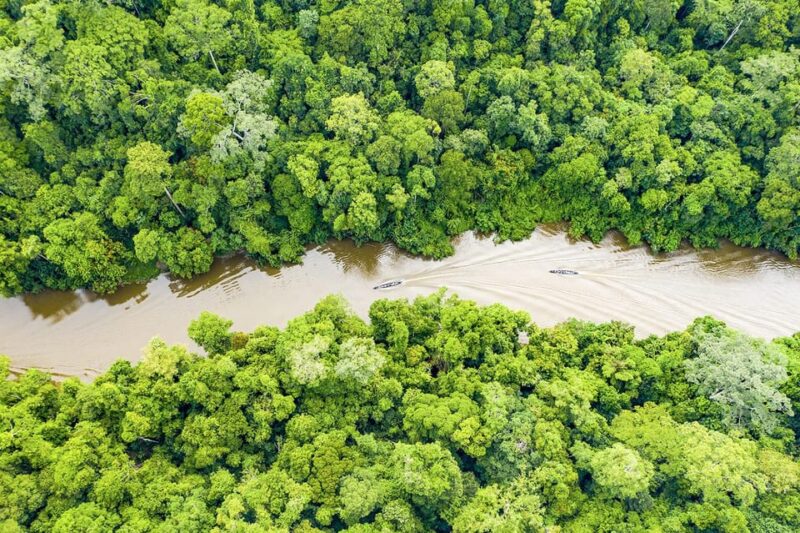 From Iquitos | 6-Day Amazon Rainforest Tour - Itinerary Highlights