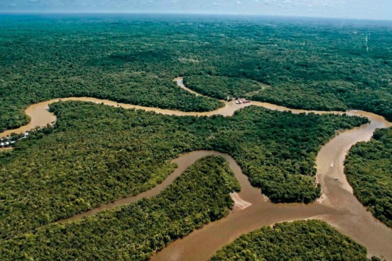 From Iquitos | 6-Day Amazon Rainforest Tour - Jungle Explorations