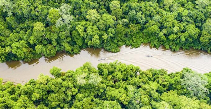 From Iquitos | 6-Day Amazon Rainforest Tour - Lodging and Meals