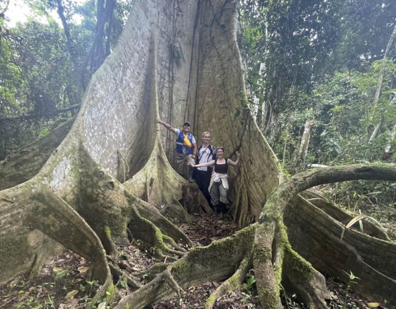 From Iquitos: Amazon Nature and Wildlife 2-Day Adventure - Pricing and Discounts