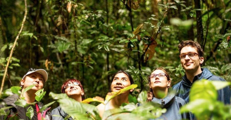 From Iquitos: Amazonas 2 Days 1 Night - Itinerary Highlights