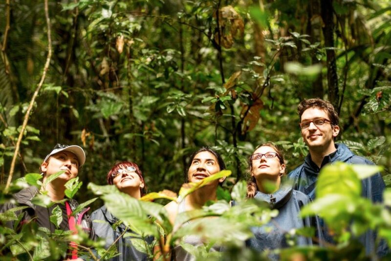From Iquitos: Amazonas 2 Days 1 Night - Jungle Lodge and Wildlife Exploration