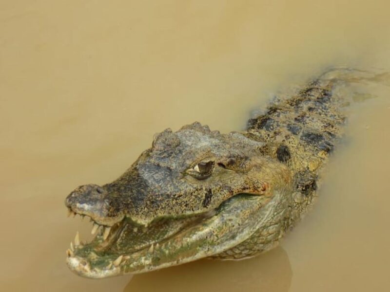From Iquitos Amazonas 3 Days 2 Nights - Included Services