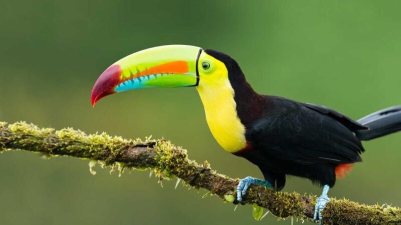 From Iquitos Amazonas 3 Days 2 Nights - Contact and Reservation Details